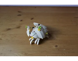 Cute Crab