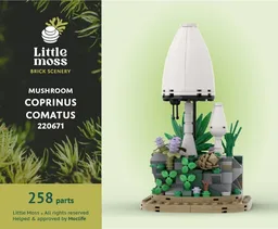Mushroom - Coprinus Comatus