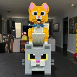 Sox the Cat