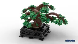 Bonsai