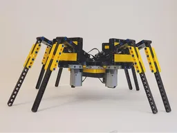 Tarantula