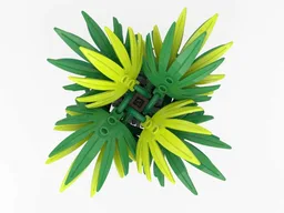 Palm Tree