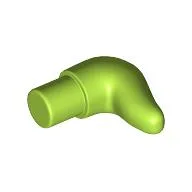 Animal Body Part, Horn (Cattle) / Lime