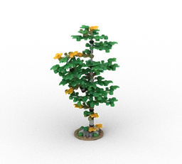 Poplar Tree