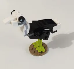 30641 Ostrich