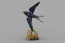 Barn Swallow