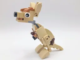 30666 Kangaroo