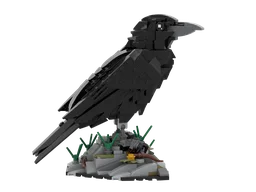 Raven