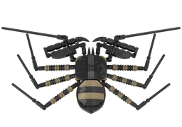 Tailless Whip Scorpion (Amblypygi Order)