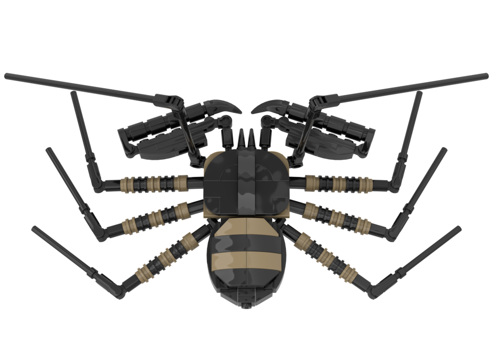 Lego Tailless Whip Scorpion (Amblypygi Order)