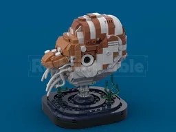 Chambered Nautilus