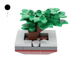 15 Bonsai