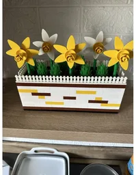 Daffodil Window Box