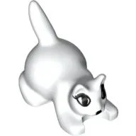 Animal, Cat, Kitten Crouching with Black Eyes, Eyelashes, and Nose Print / White