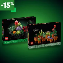 Succulent Collection Bundle