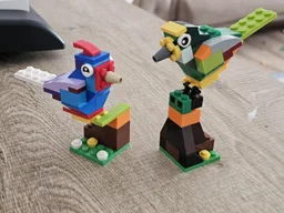 10696 Birds