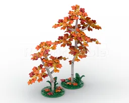 Plants and Trees Collection: Red Birch Trees