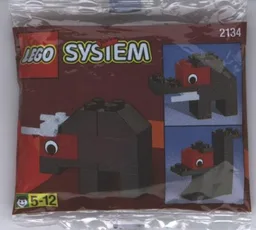 Bison