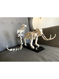 Cobra skeleton