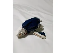 Sea Turtle and Lobster