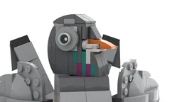 Fan Tail Pigeon