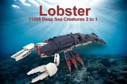 Lobster 31088 2 to 1