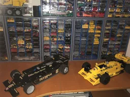 Lotus 79 - scale 1:8