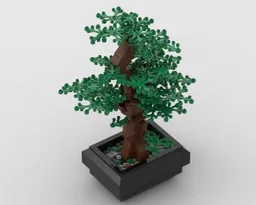 bonsai