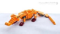 Alligator