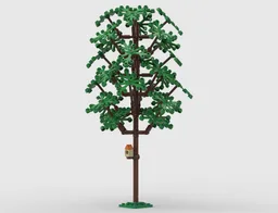 City oval tree