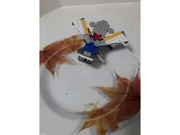 31042 Fly