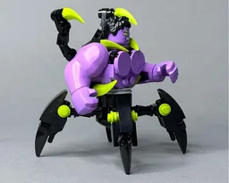 Strong spider (Goliath)