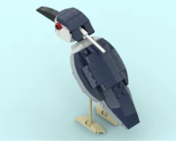 Night Heron
