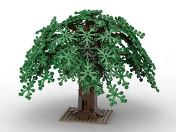 Willow Tree