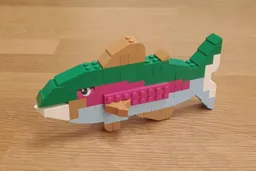 11041 Rainbow Trout