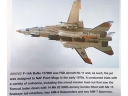 F-14 Tomcat (A)