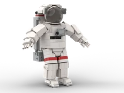 NASA Astronaut EVA Space Shuttle