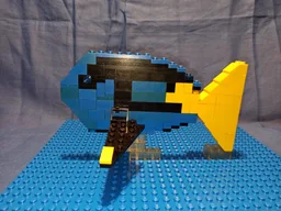 Royal Blue Tang