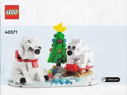 Wintertime Polar Bears