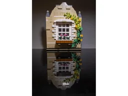 Window