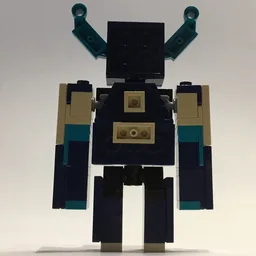 Warden