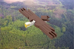 Flying Bald Eagle
