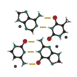 Chemistry - DNA base pairs