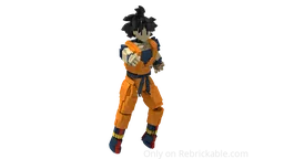 Son Goku
