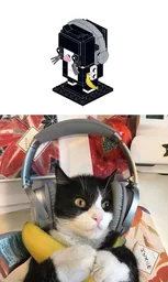 CUTE CAT