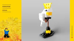 Cockatoo