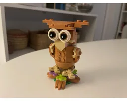 31376 Owl