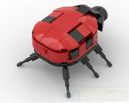 Ladybug