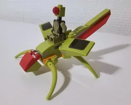 Insect