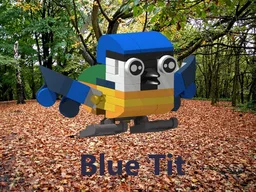 Eurasian Blue Tit
